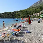 Dalmatino
