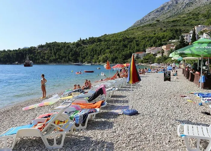 Dalmatino